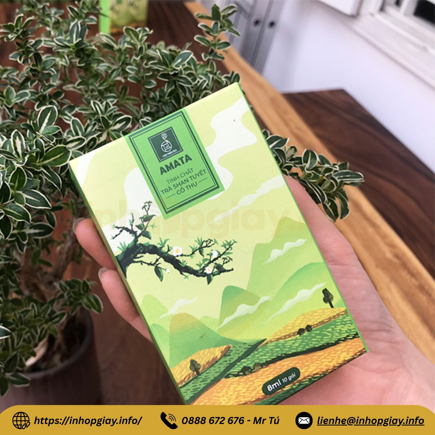 Xưởng có hơn 30+ mẫu hộp trà để khách lựa chọn