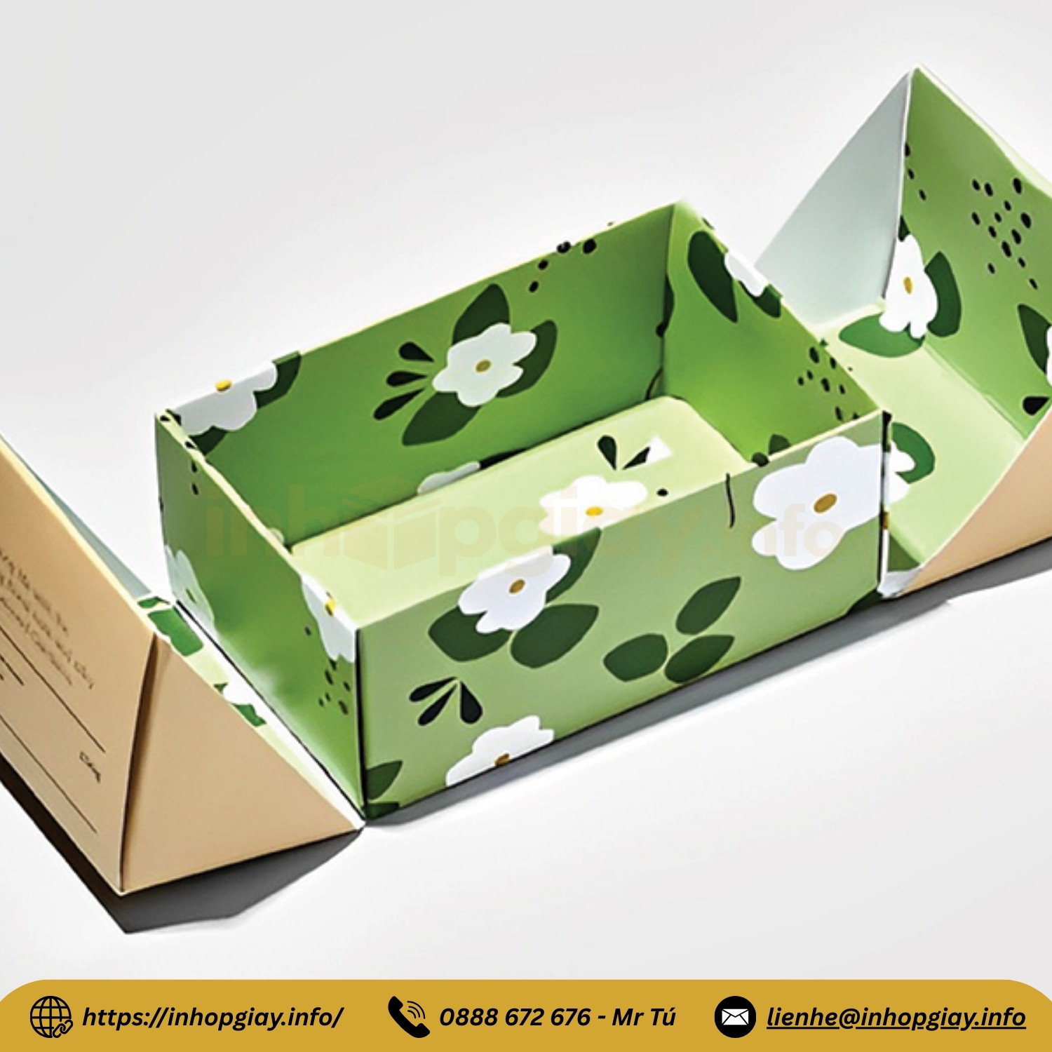 Phân loại chi tiết các dòng hộp cứng cánh bướm