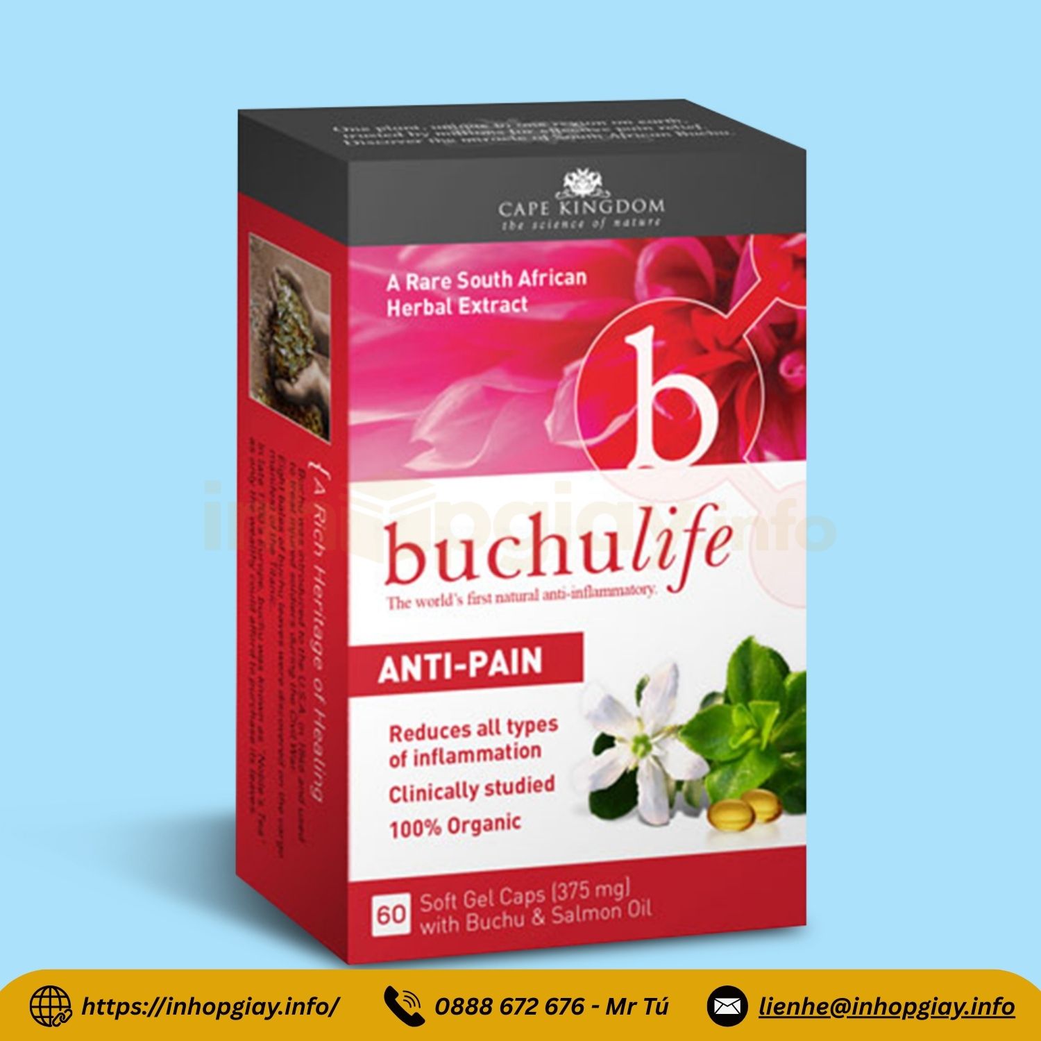 Mẫu hộp giấy đựng dược phẩm