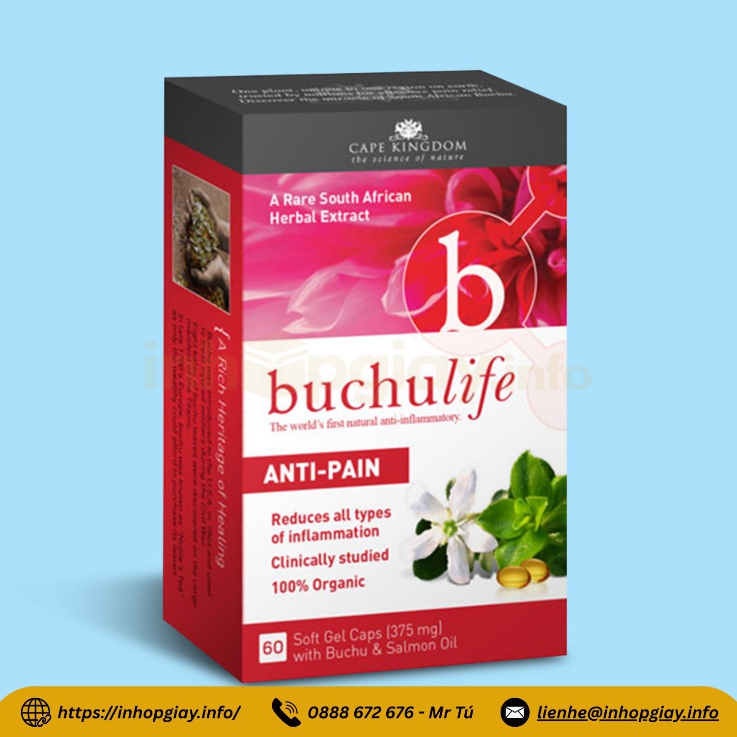 Xưởng in hộp giấy đựng thuốc tây, dược phẩm, hộp thuốc đông y - Nhận từ 200 hộp