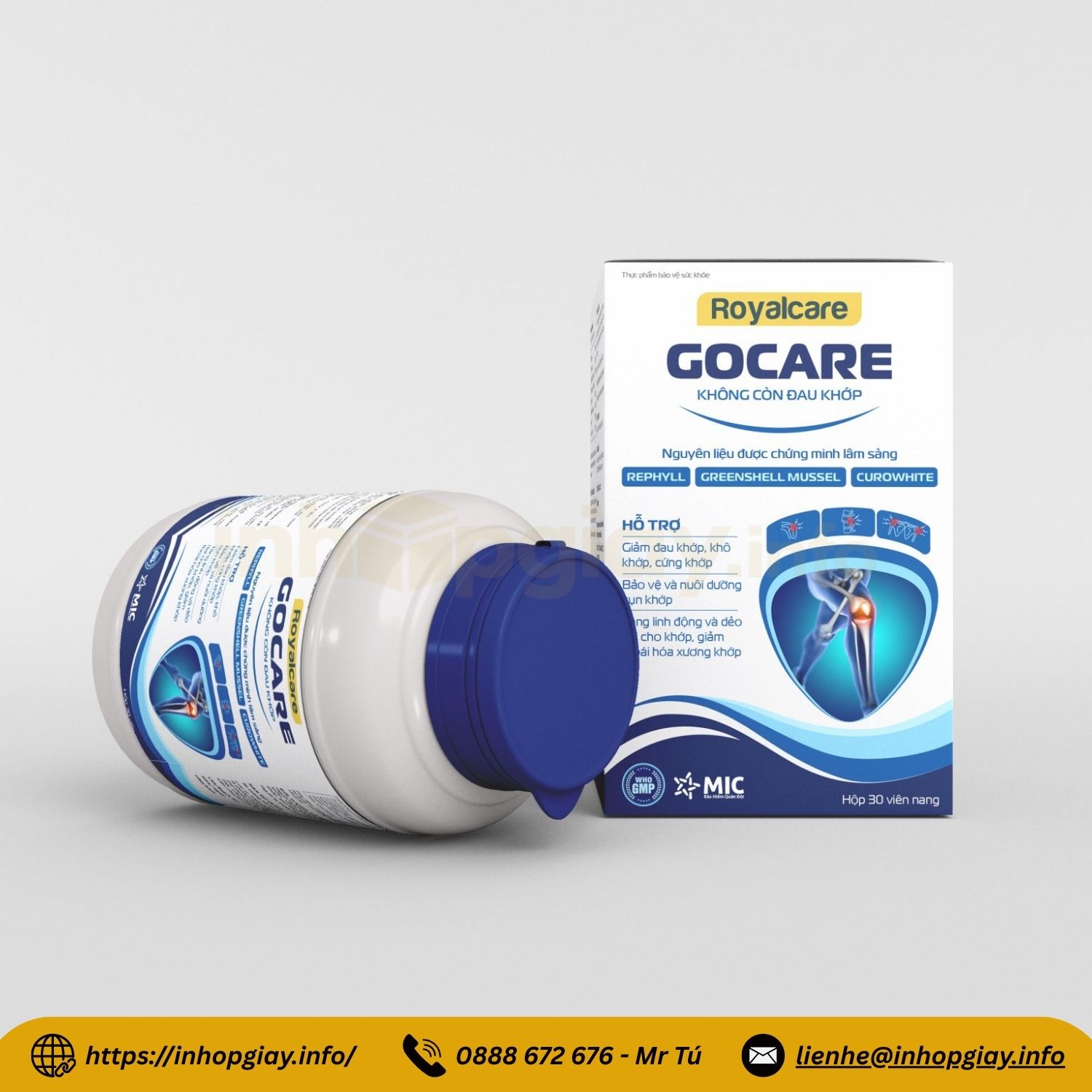 Xưởng in hộp giấy đựng thuốc tây, dược phẩm, hộp thuốc đông y - Nhận từ 200 hộp