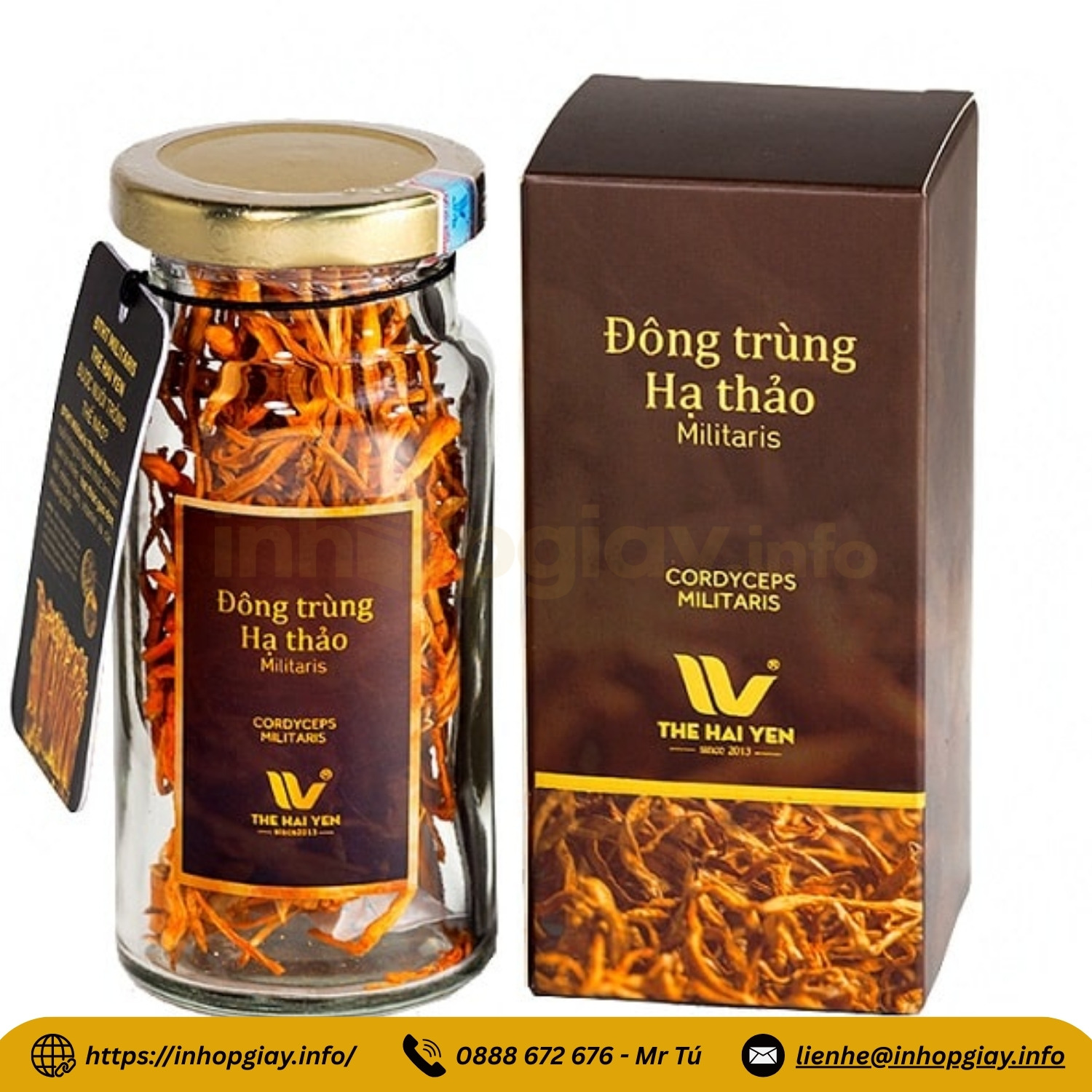 Xưởng in hộp đông trùng hạ thảo theo yêu cầu - Nhận từ 200 hộp, chiết khấu cao