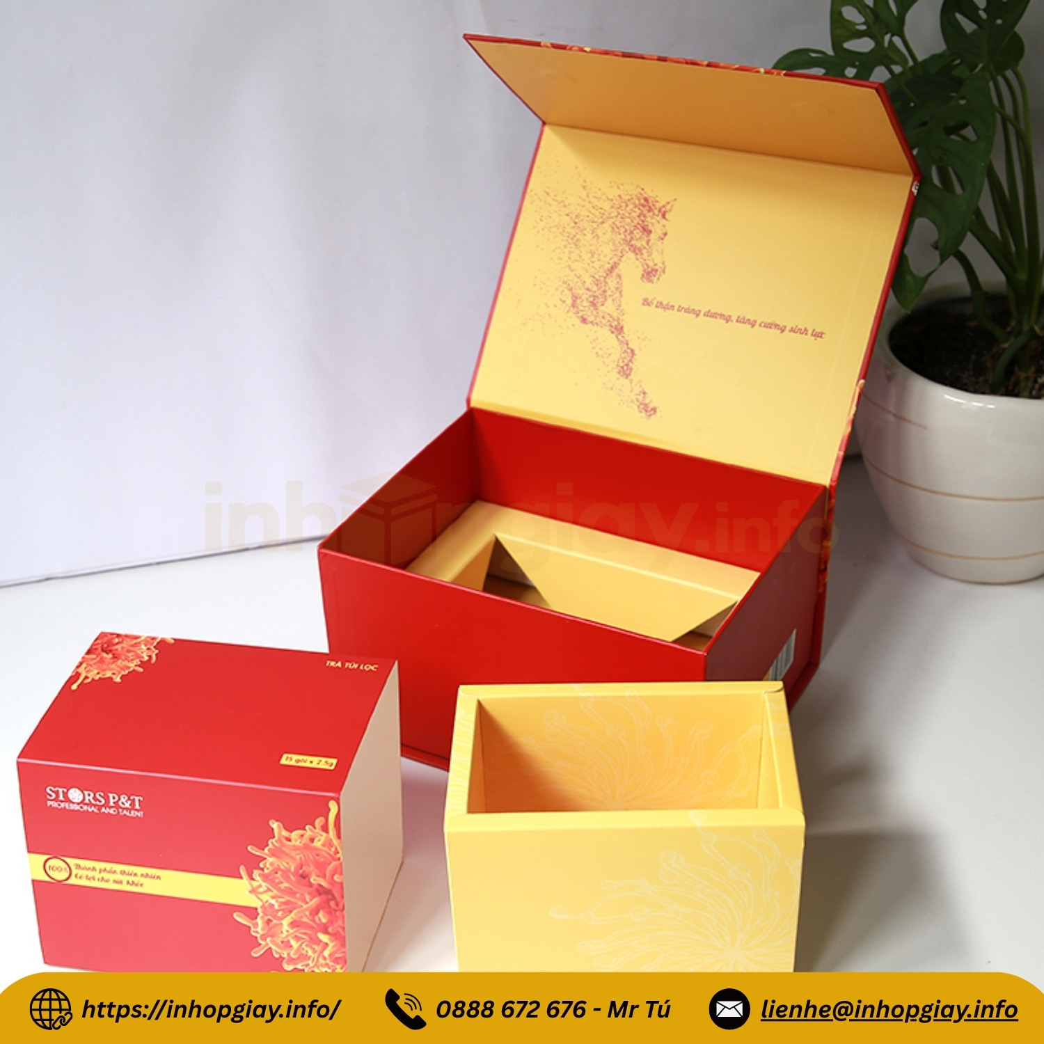 Xưởng in hộp đông trùng hạ thảo theo yêu cầu - Nhận từ 200 hộp, chiết khấu cao
