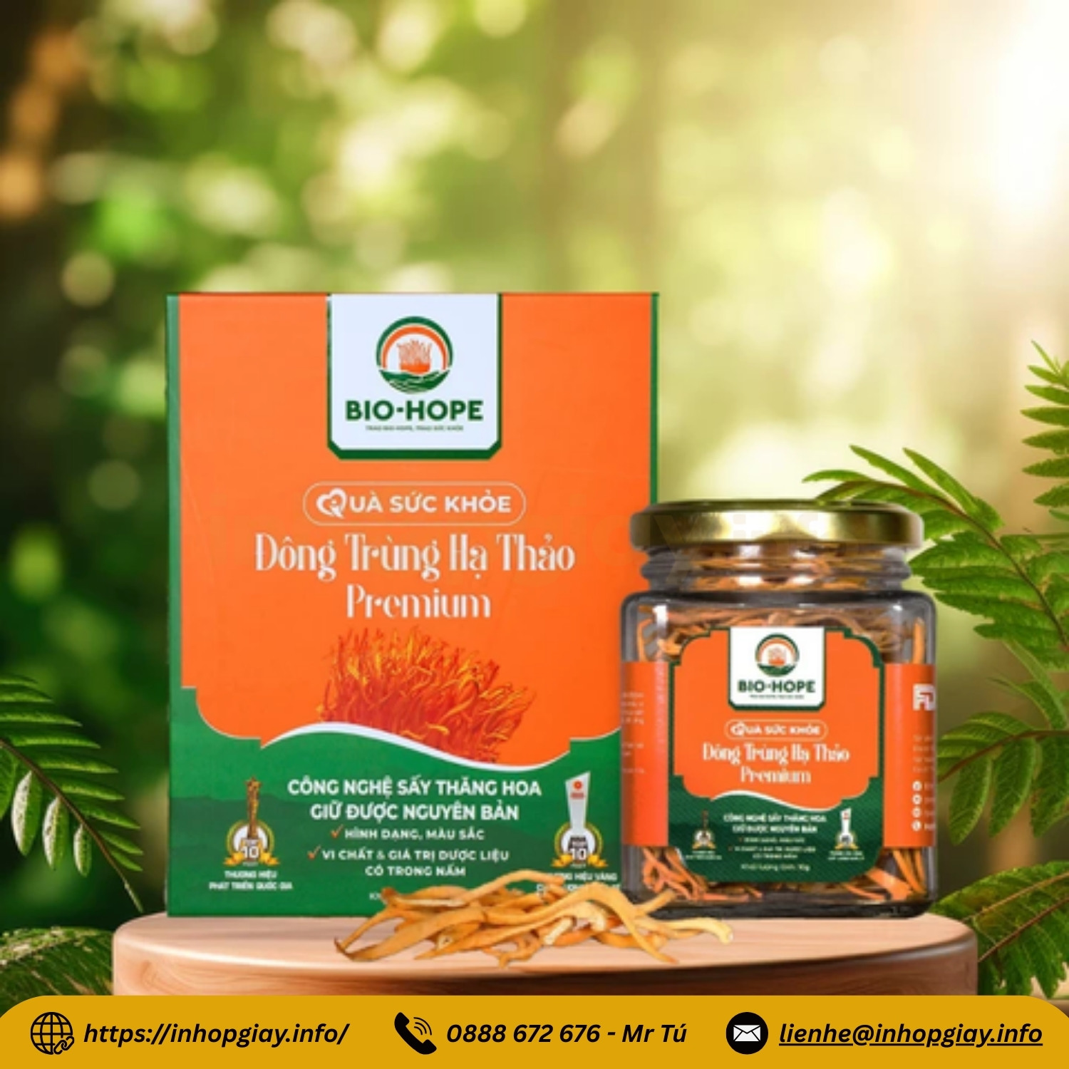 Xưởng in hộp đông trùng hạ thảo theo yêu cầu - Nhận từ 200 hộp, chiết khấu cao