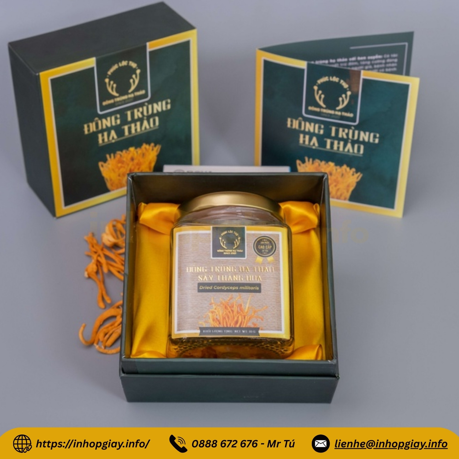 Xưởng in hộp đông trùng hạ thảo theo yêu cầu - Nhận từ 200 hộp, chiết khấu cao
